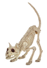 Crazy Bonez Lil' Kitty Bonez skeleton cat, 7-inch pouncing pose for Halloween décor