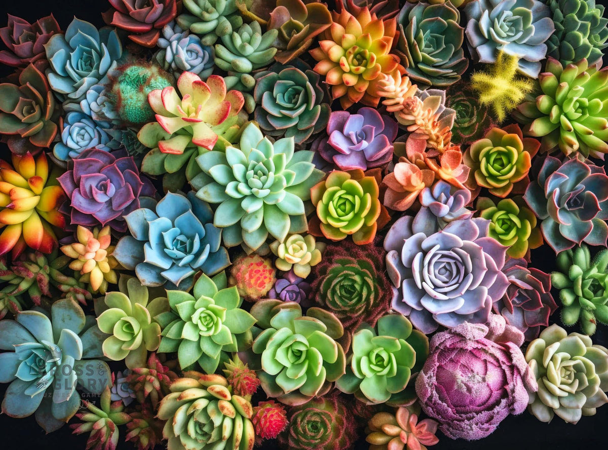 Cross & Glory Succulent Symphony front cover with vibrant flora for inspiration.