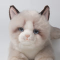 CU-MATE 20 inch gray ragdoll cat plush with gift box for lifelike play.