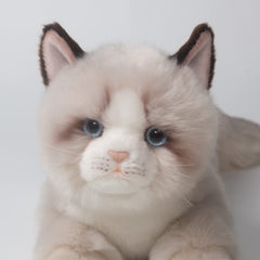 CU-MATE 20 inch gray ragdoll cat plush with gift box for lifelike play.