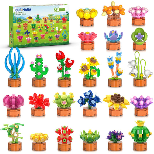 CUBIMANA flowers-succulent bonsai 01 for classroom creativity and hands-on learning.