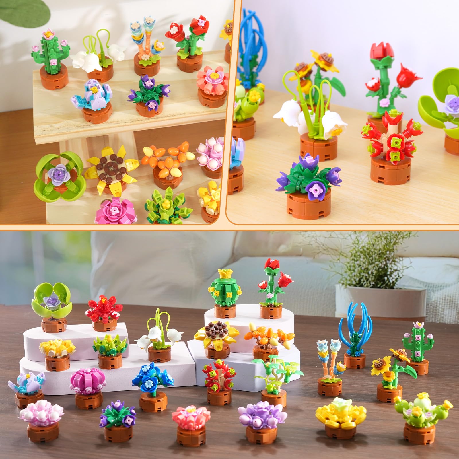 CUBIMANA flowers-succulent bonsai 05 ideal for gifting and classroom activities.