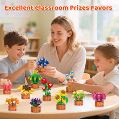 CUBIMANA flowers-succulent bonsai 08 great for group activities and exchanges.