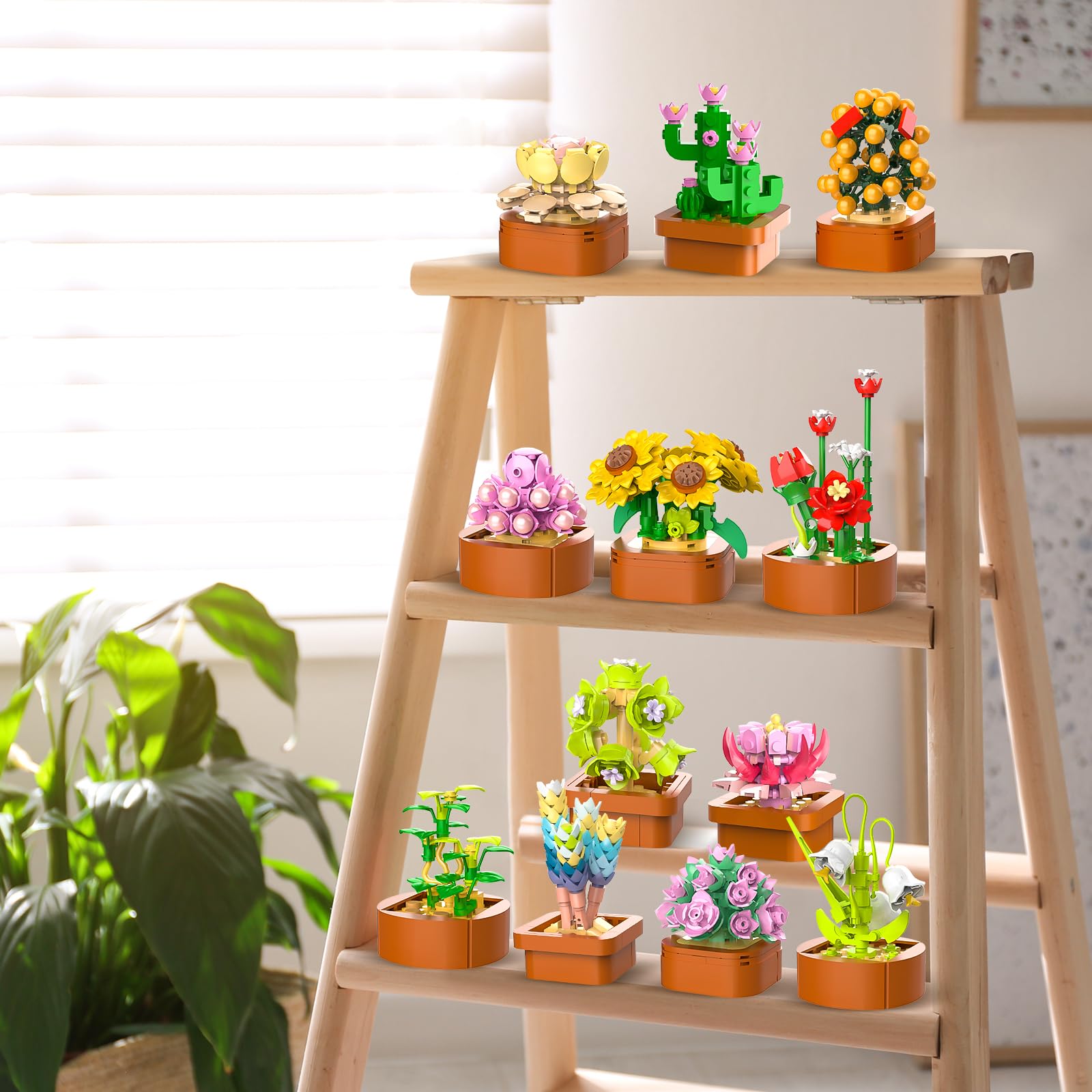 CUBIMANA home decor succulent display elevates a coffee table with color and texture.