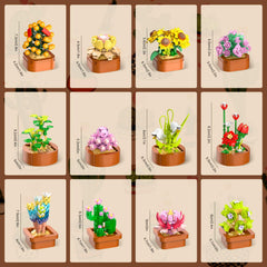 CUBIMANA ideal gift for adults and kids on birthdays or holidays.