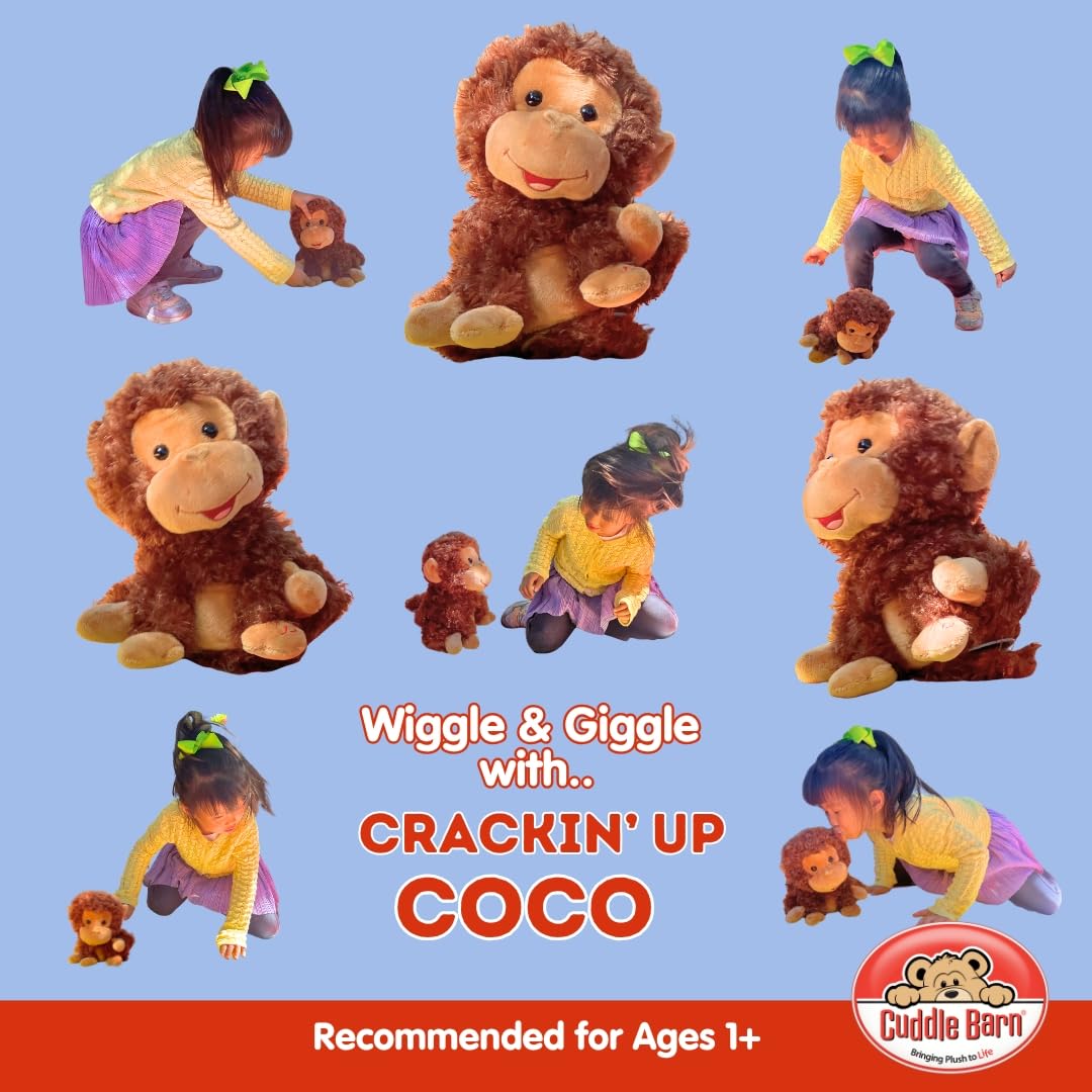 Ages 12 months and up for safe, interactive fun