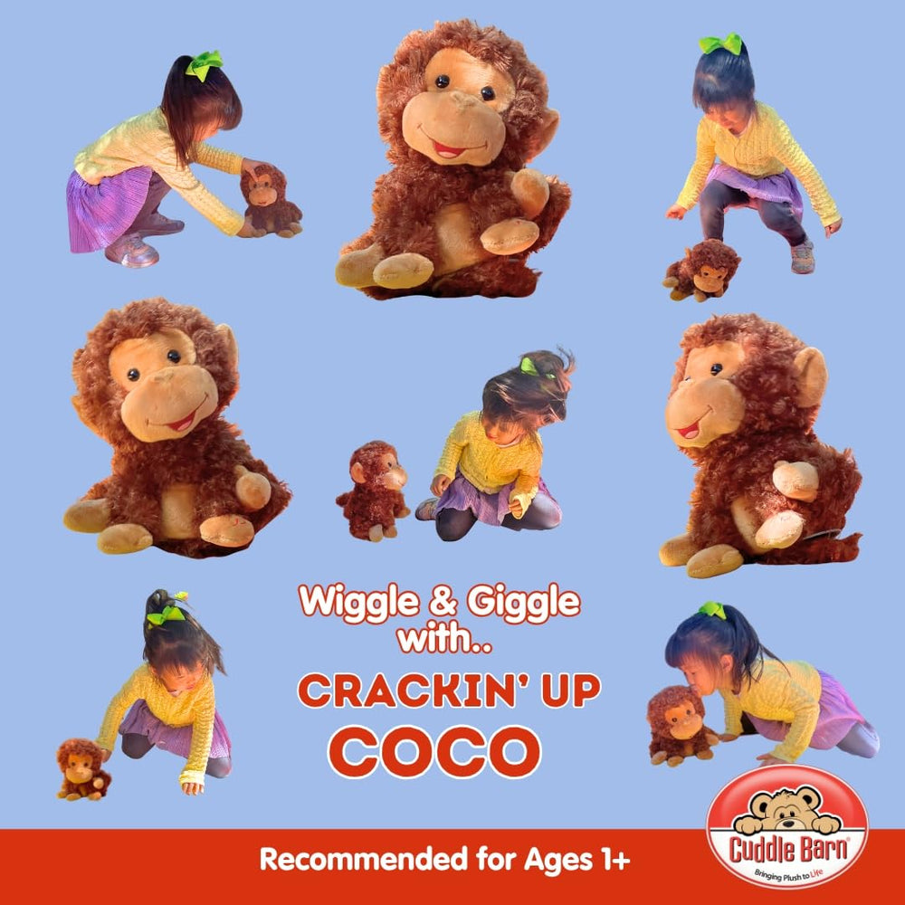 Ages 12 months and up for safe, interactive fun