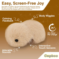 Cupboo privacy-safe robot pet with no camera, ideal for private, screen-free bonding.