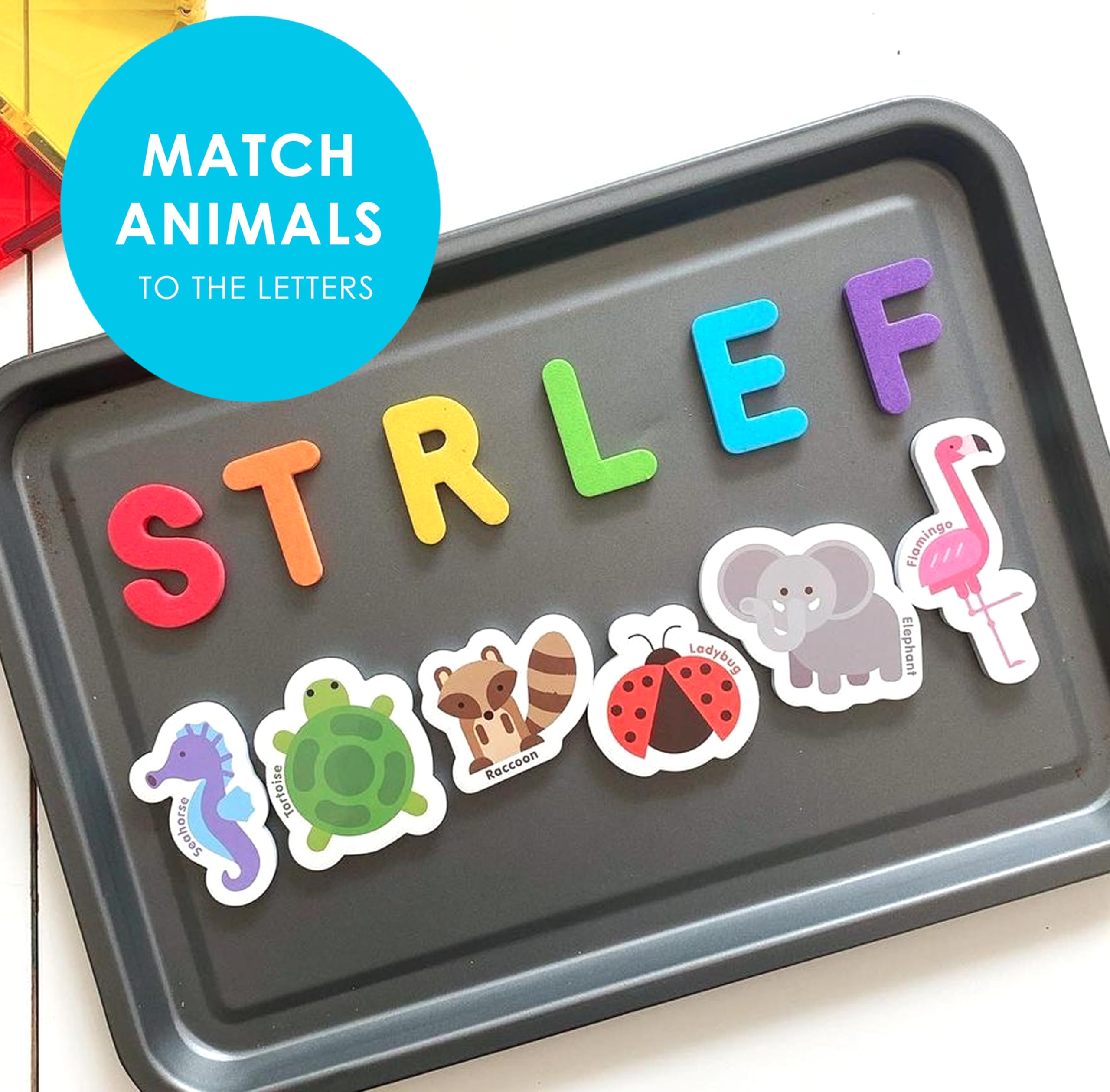 Curious Columbus animal magnets foster imaginative fridge play for toddlers