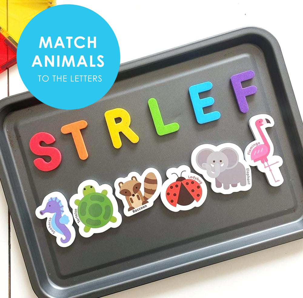 Curious Columbus animal magnets foster imaginative fridge play for toddlers