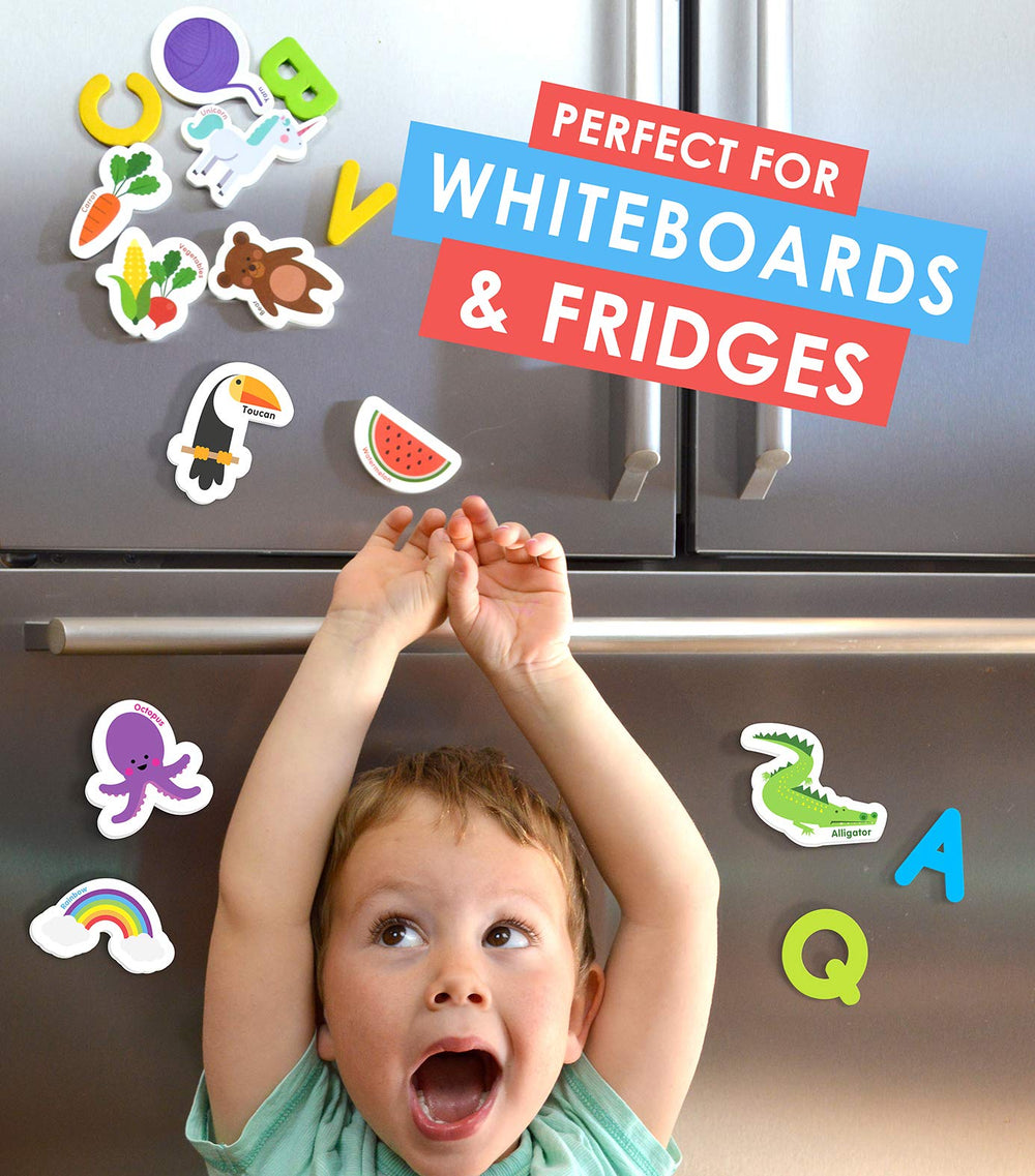 Curious Columbus magnets ideal for travel and on-the-go learning