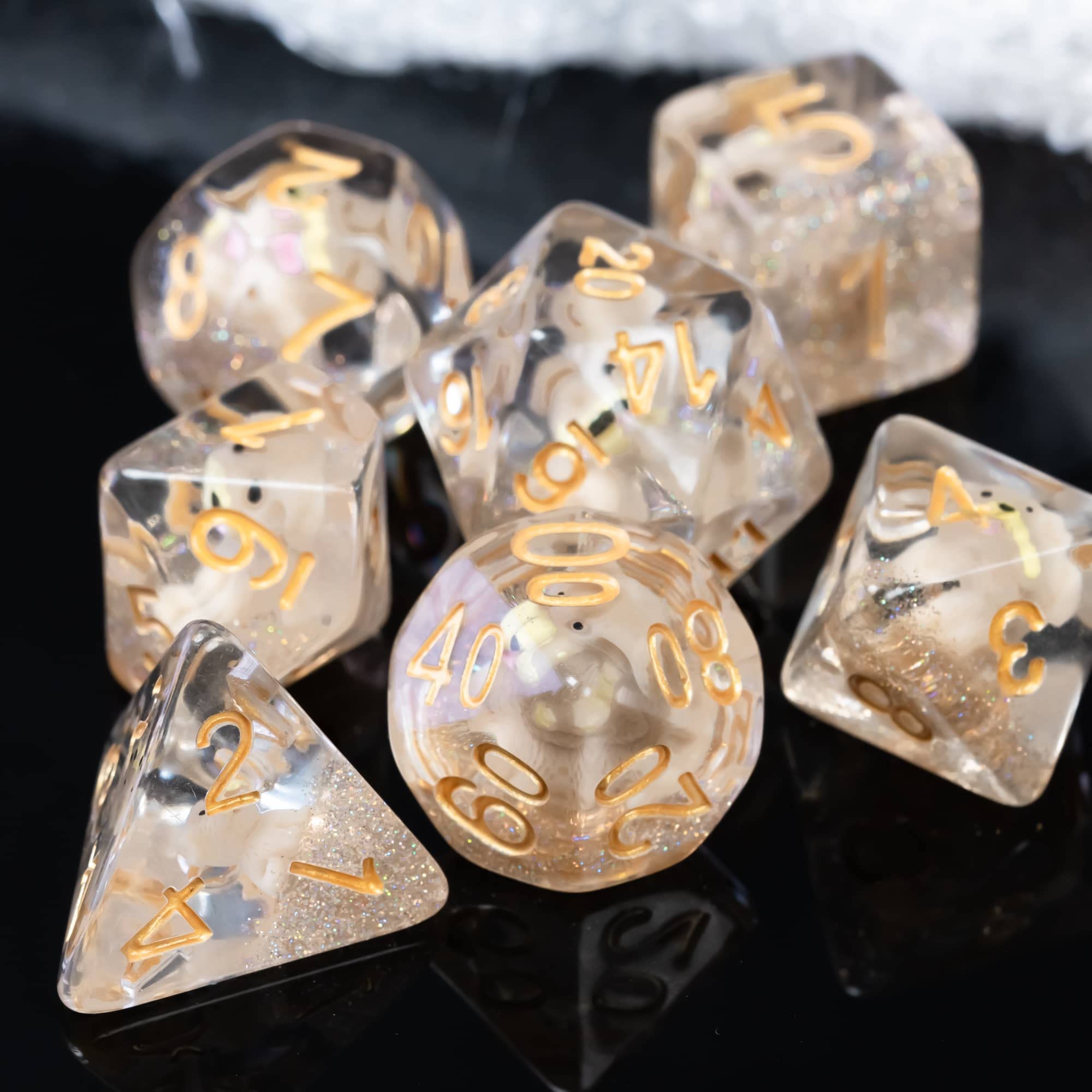 Cusdie dog-inside dice close-up inviting tactile curiosity.