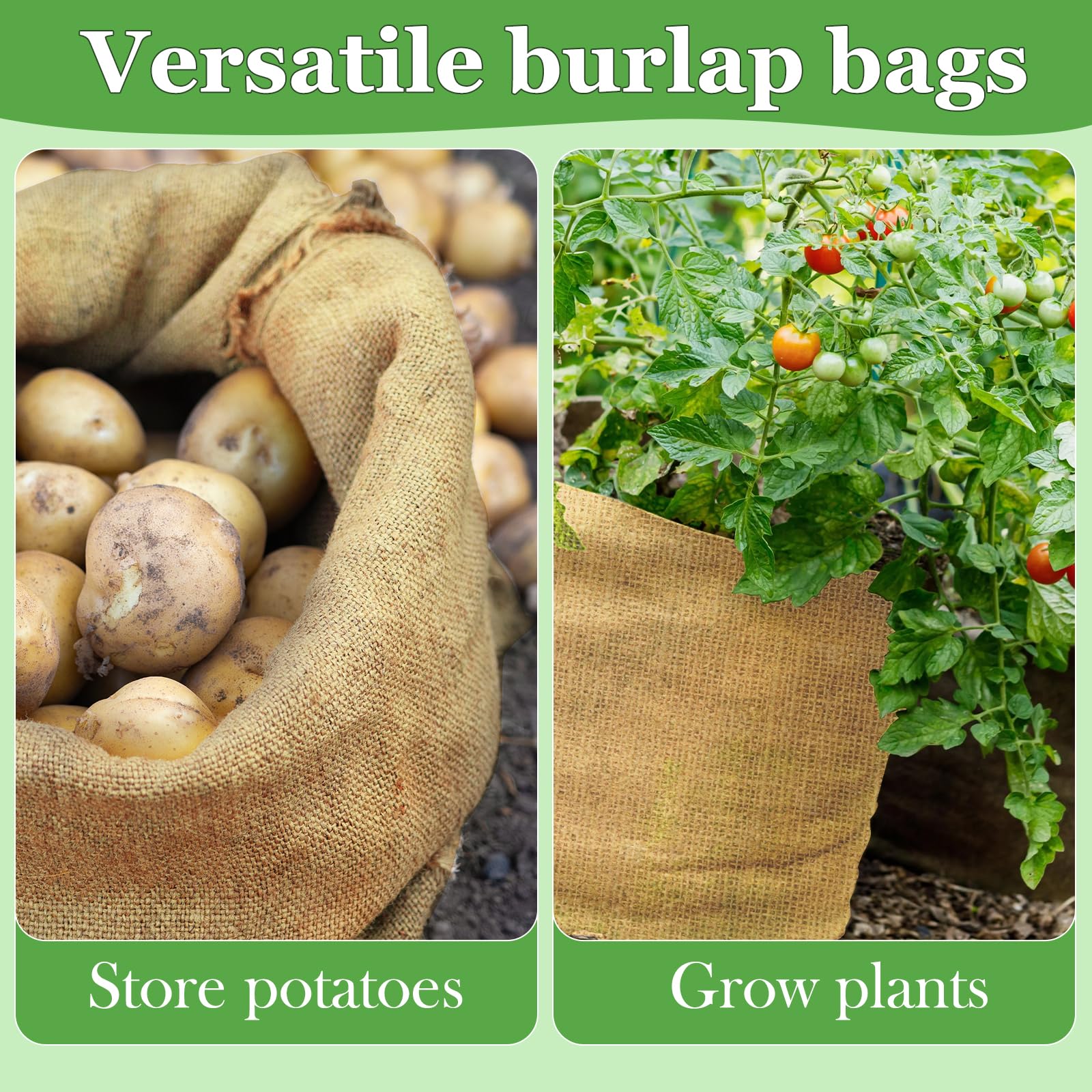 CWLAKON field day outdoor games setup with burlap sacks