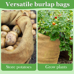 CWLAKON field day outdoor games setup with burlap sacks