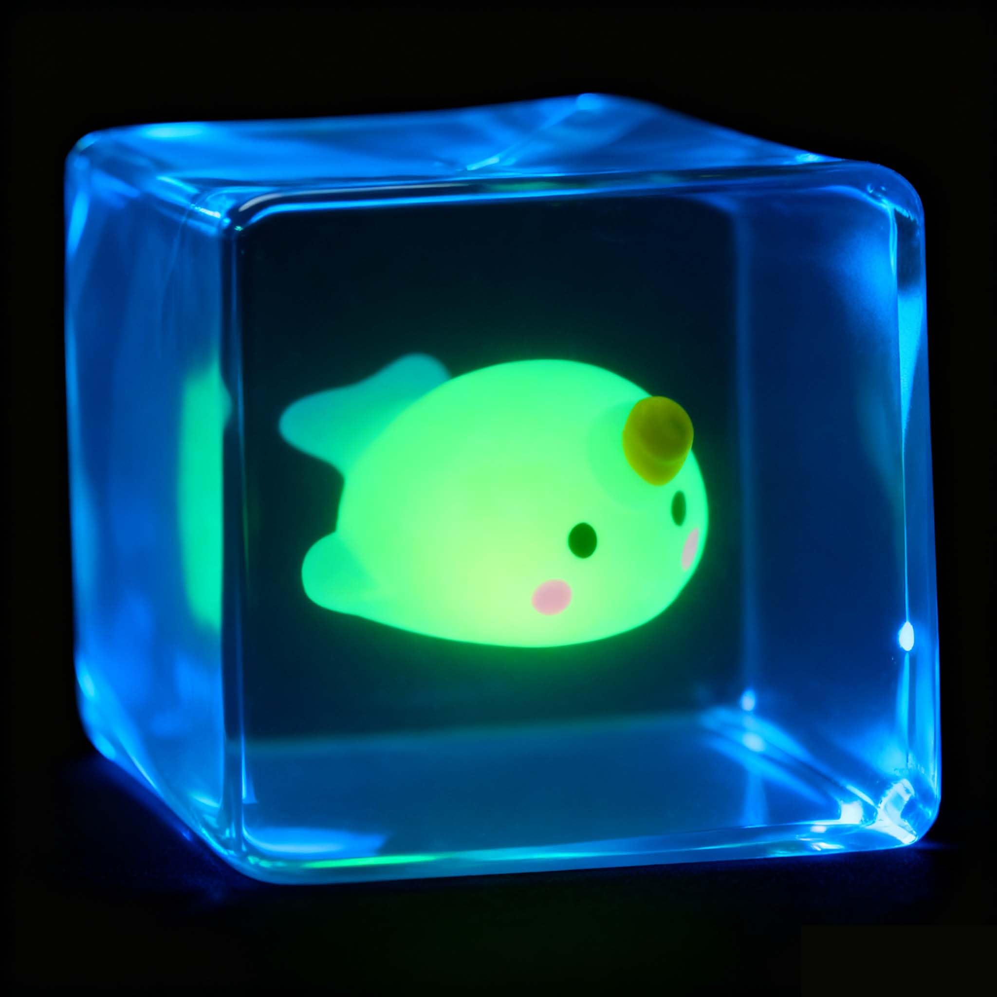Glow-in-the-dark unicorn whale inside adds playful visual delight.