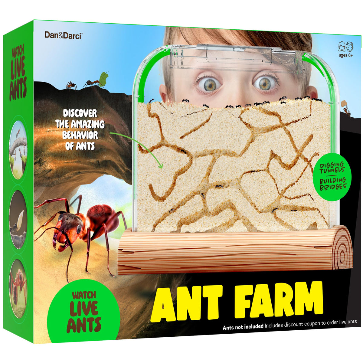 Dan&Darci Ant Farm Kit setup image for easy assembly and engaging ant habitat.