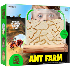 Dan&Darci Ant Farm Kit setup image for easy assembly and engaging ant habitat.