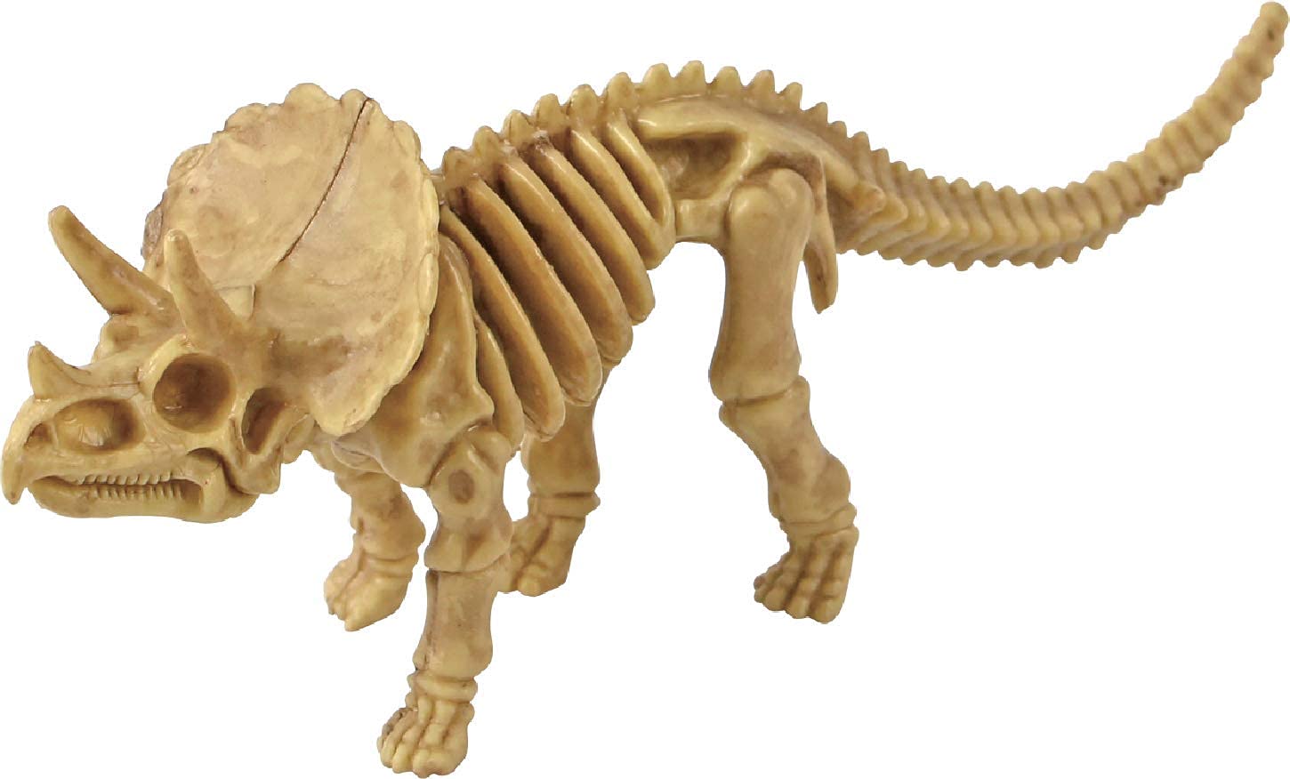 Dan&Darci Dino Models kit finished display boosts storytelling.
