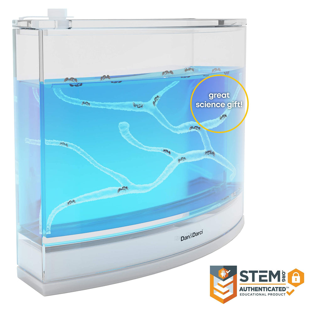Dan&Darci easy-to-use setup supports simple at-home science projects