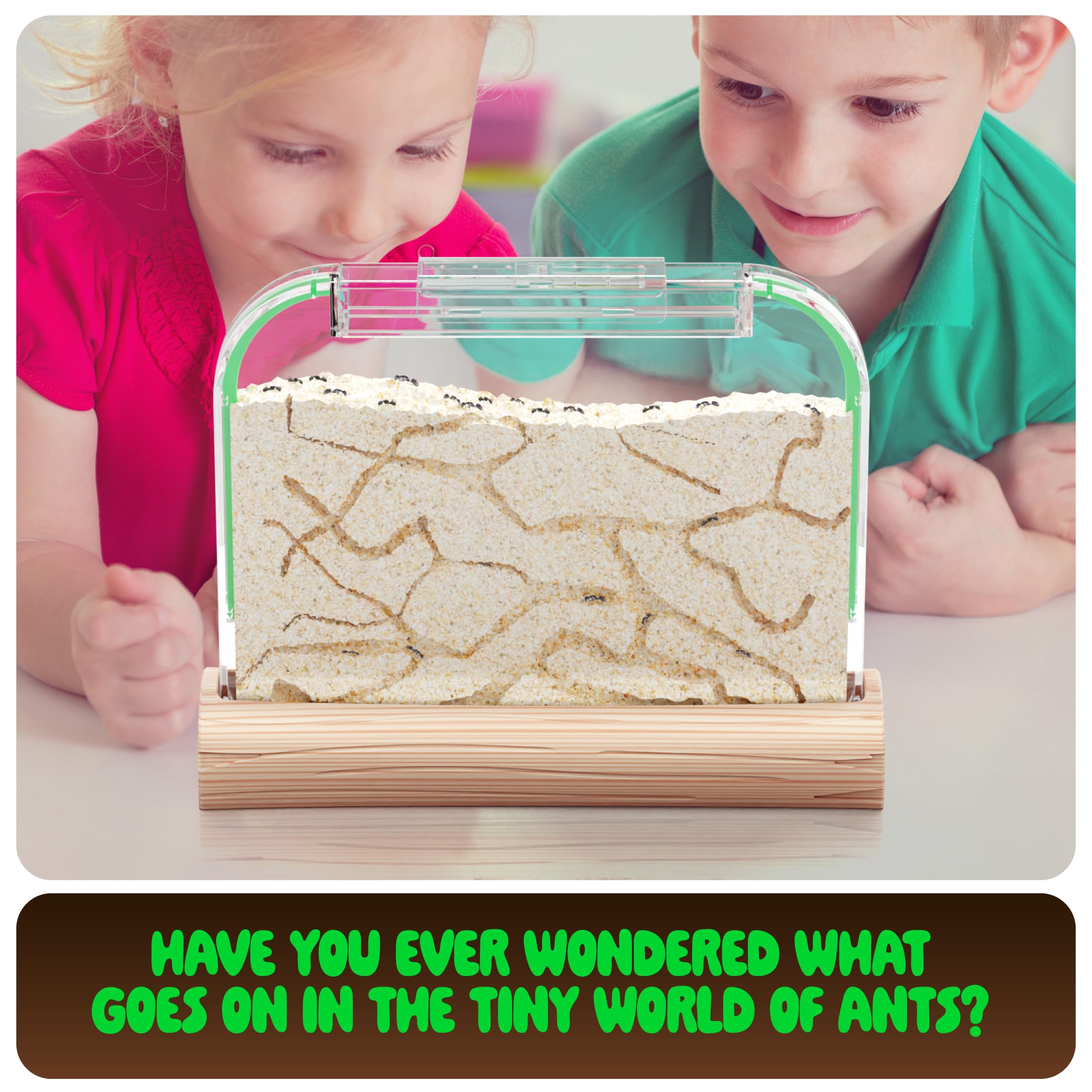 Dan&Darci Educational Gift image ideal for kids and adults.