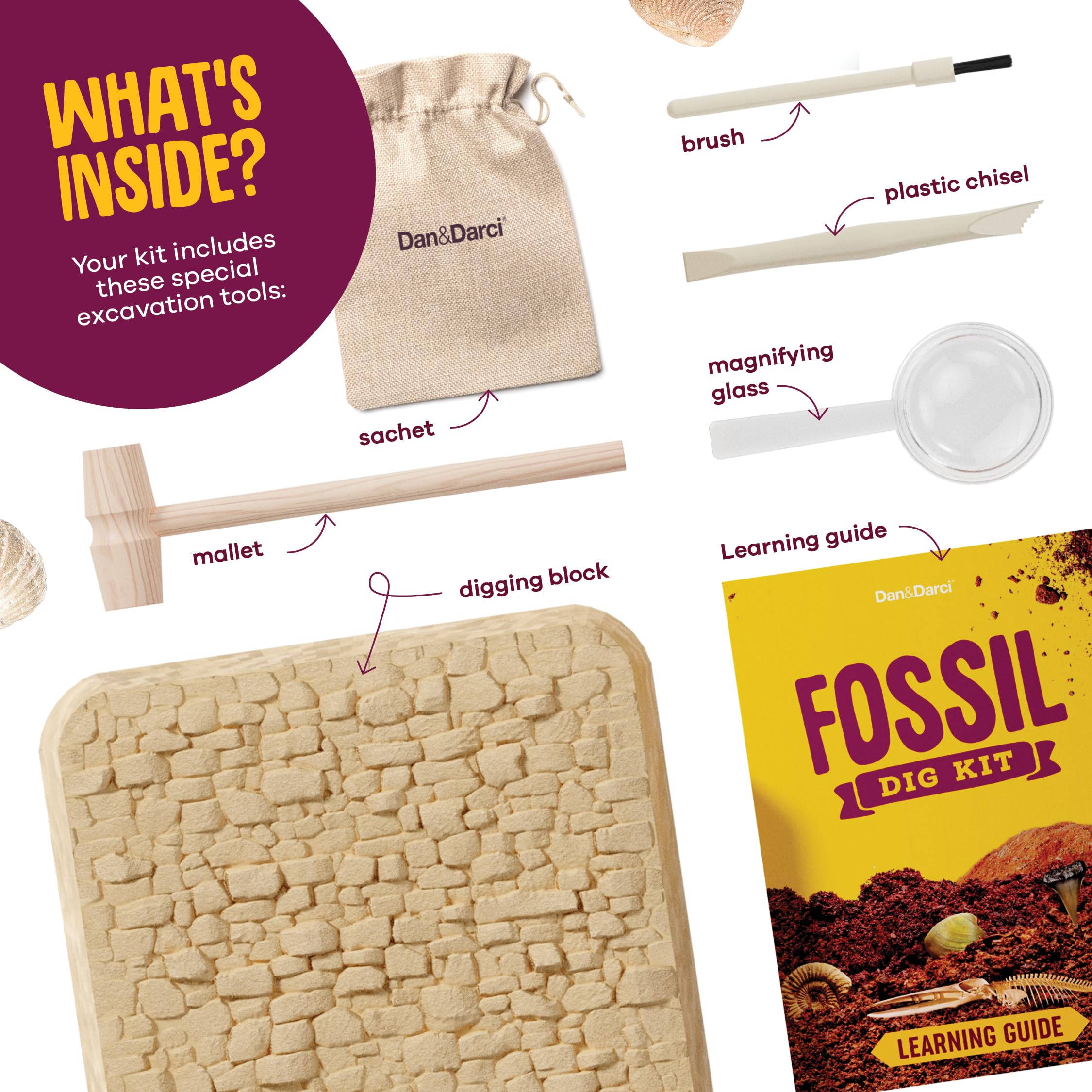 Dan&Darci fossil storage sachet for safekeeping discoveries