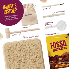 Dan&Darci fossil storage sachet for safekeeping discoveries