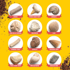 Dan&Darci illustrated guidebook for paleontology discoveries