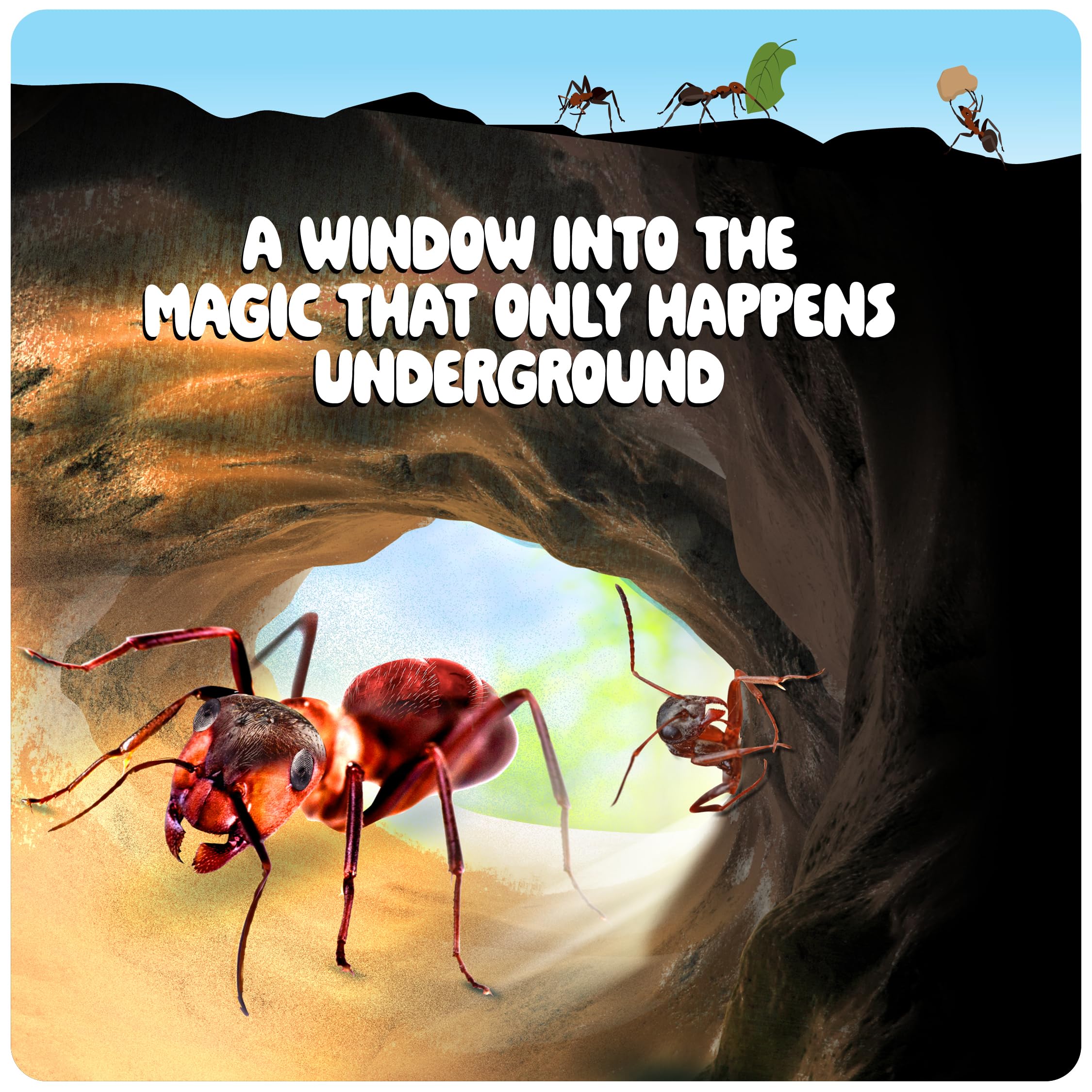 Dan&Darci Learning Guide image supports curiosity and science exploration.