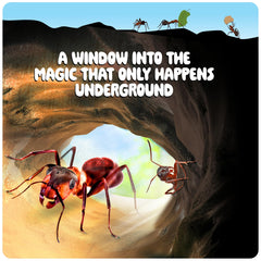Dan&Darci Learning Guide image supports curiosity and science exploration.