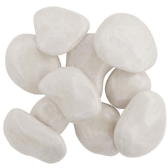 Dan&Darci natural river rocks provide a smooth canvas for art ideas.