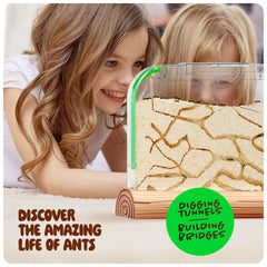 Dan&Darci Sand Habitat Kit image highlighting natural tunneling opportunities.
