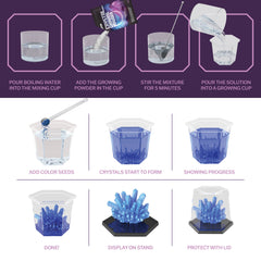 Dan&Darci seven growing cups prepared for multiple crystal creations
