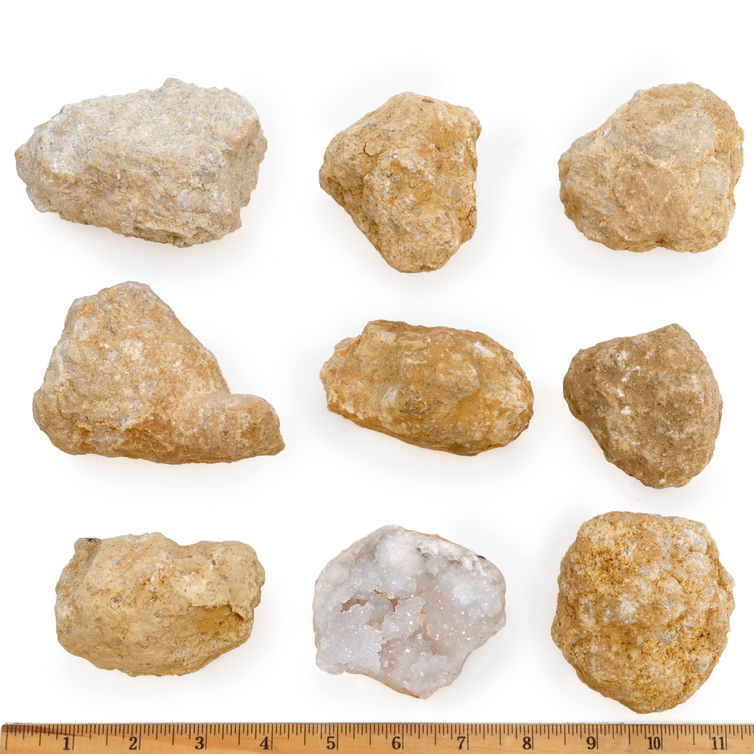 Dancing Bear break-open geodes action highlights tactile discovery