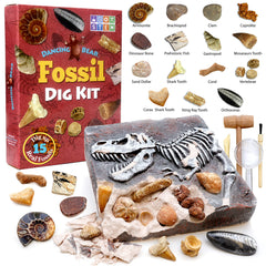 DANCING BEAR educational guide helps kids log findings during dig.