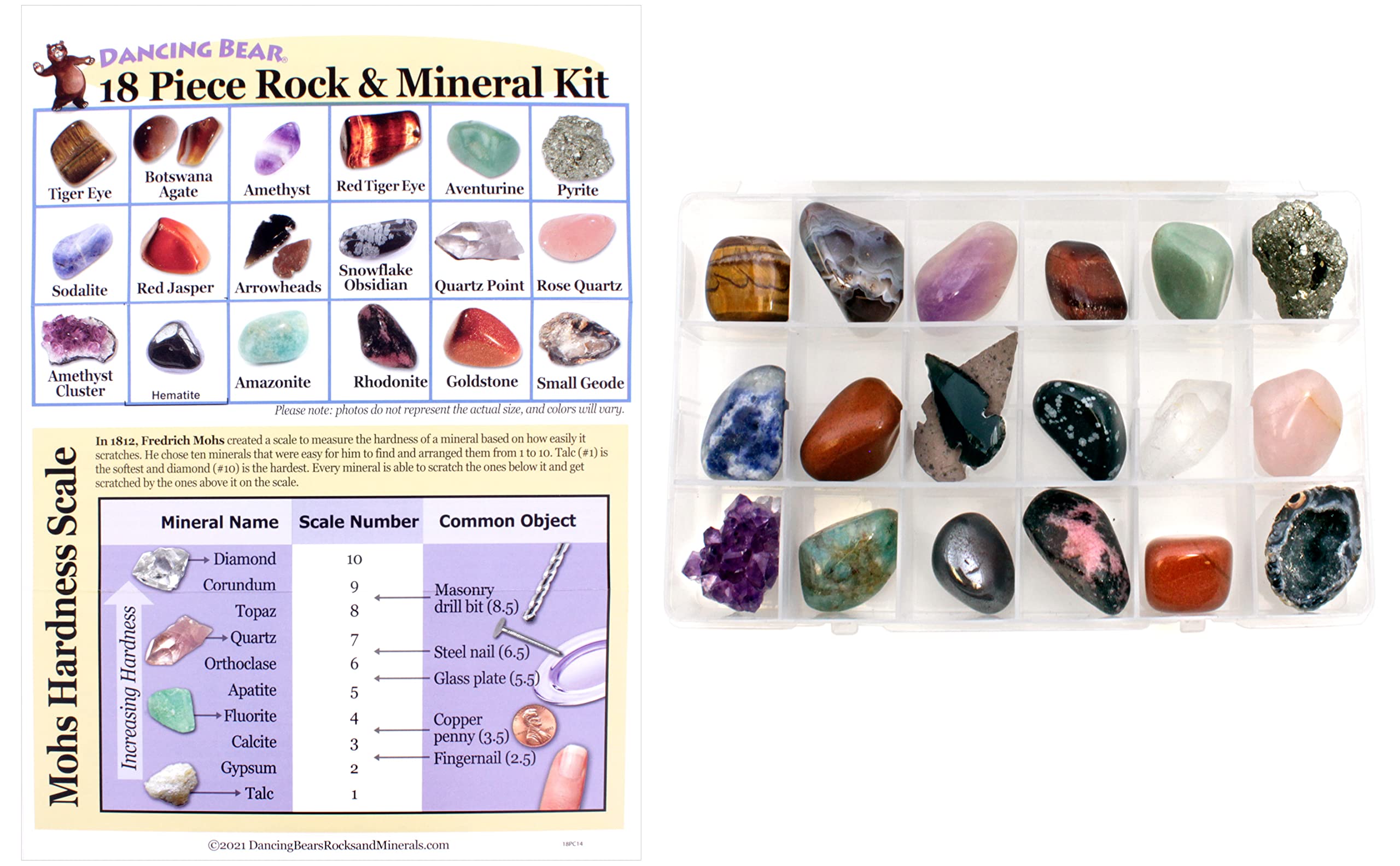Dancing Bear educational rock kit supports hands-on geology learning.