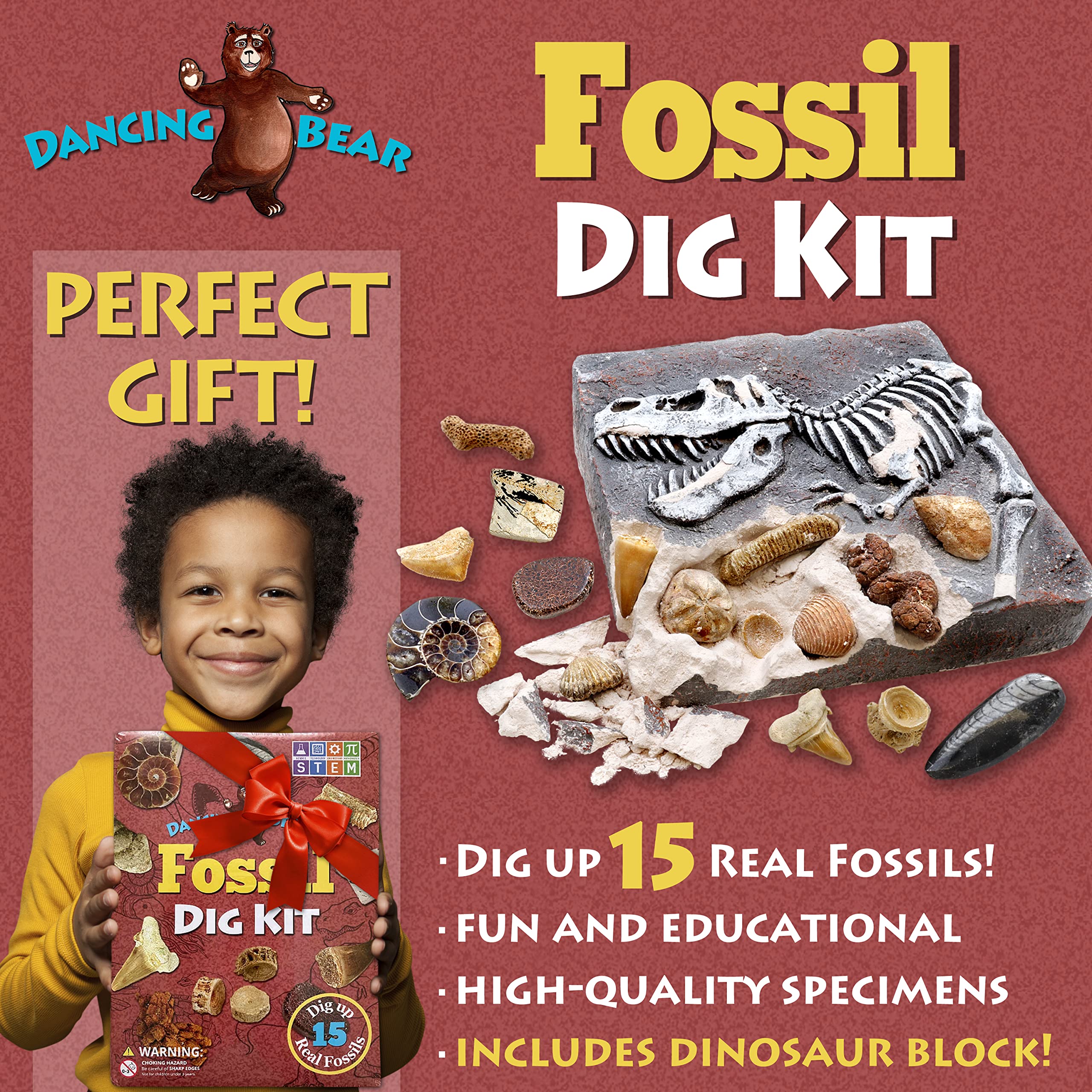 DANCING BEAR excavation tools brush included for gentle fossil discovery.