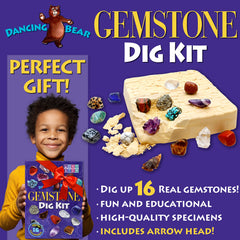 DANCING BEAR learning guide book offers step-by-step gem facts for kids.