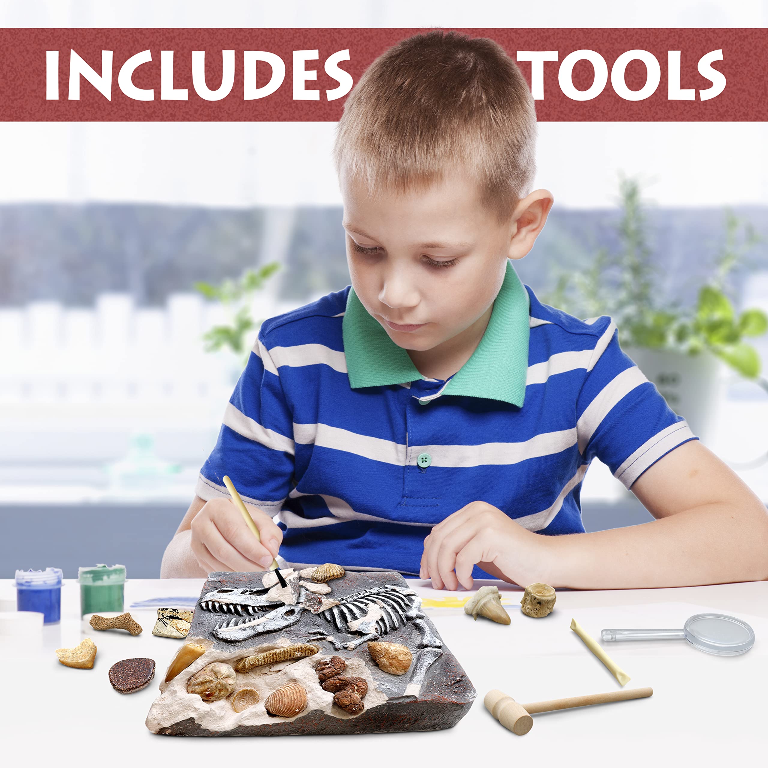DANCING BEAR paleontology education kit layout with guide and fossils.