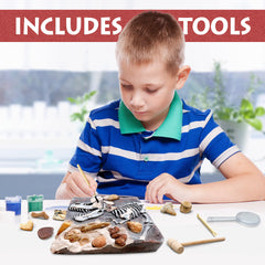 DANCING BEAR paleontology education kit layout with guide and fossils.