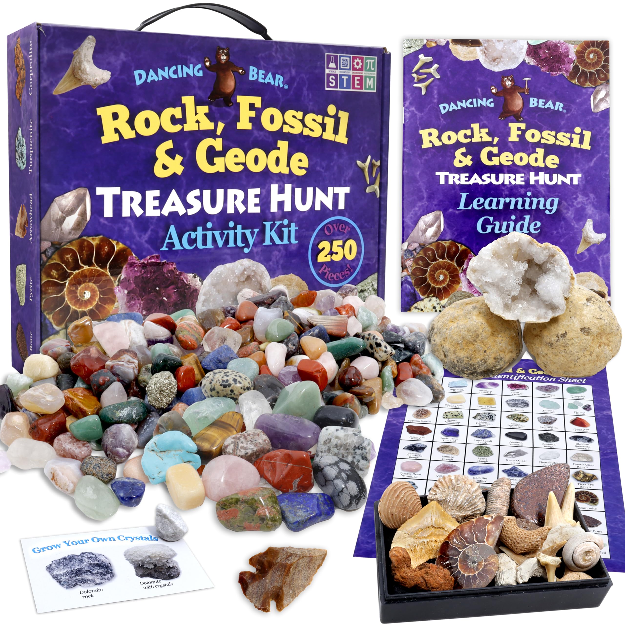 DANCING BEAR rose quartz and fools gold reveal sparkling discoveries.