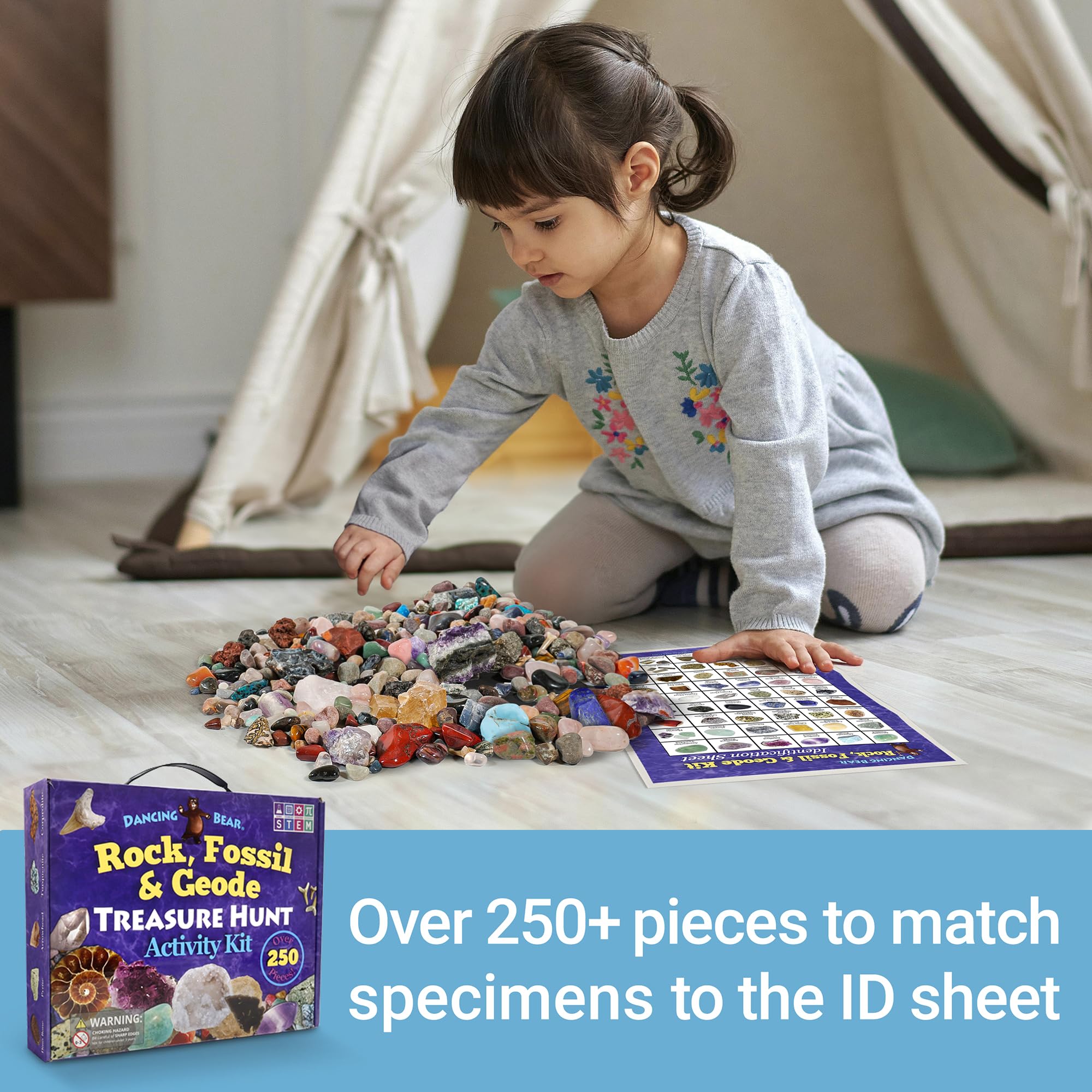 DANCING BEAR tiger eye options encourage pattern recognition and sorting.
