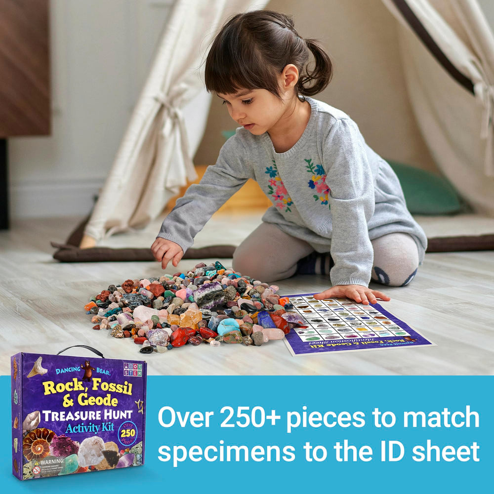 DANCING BEAR tiger eye options encourage pattern recognition and sorting.