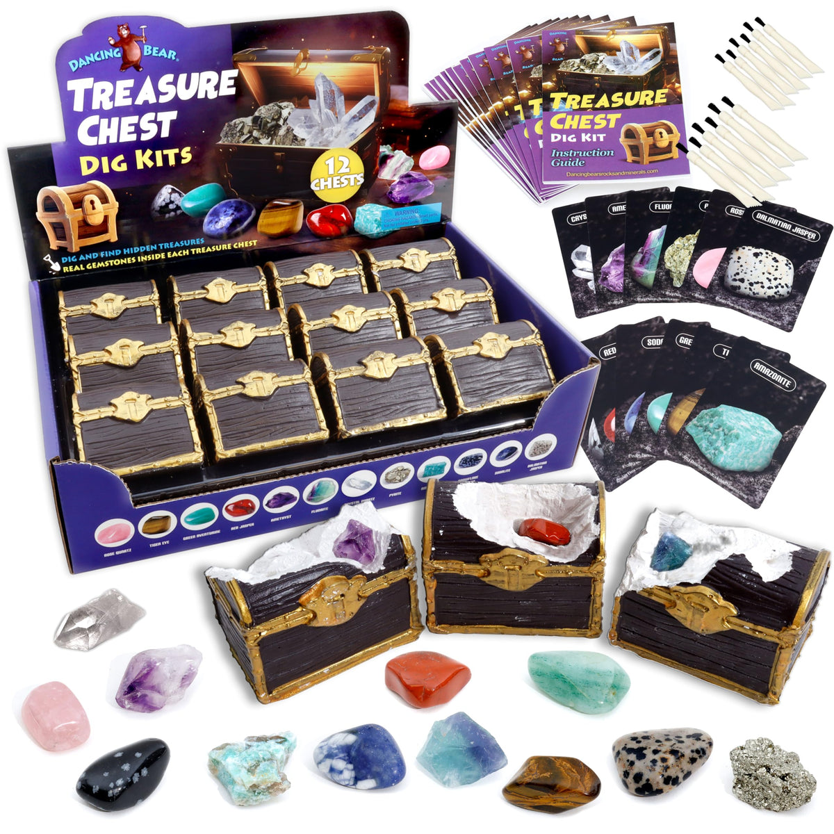 DANCING BEAR treasure chest dig kit pack for group treasure hunt and learning