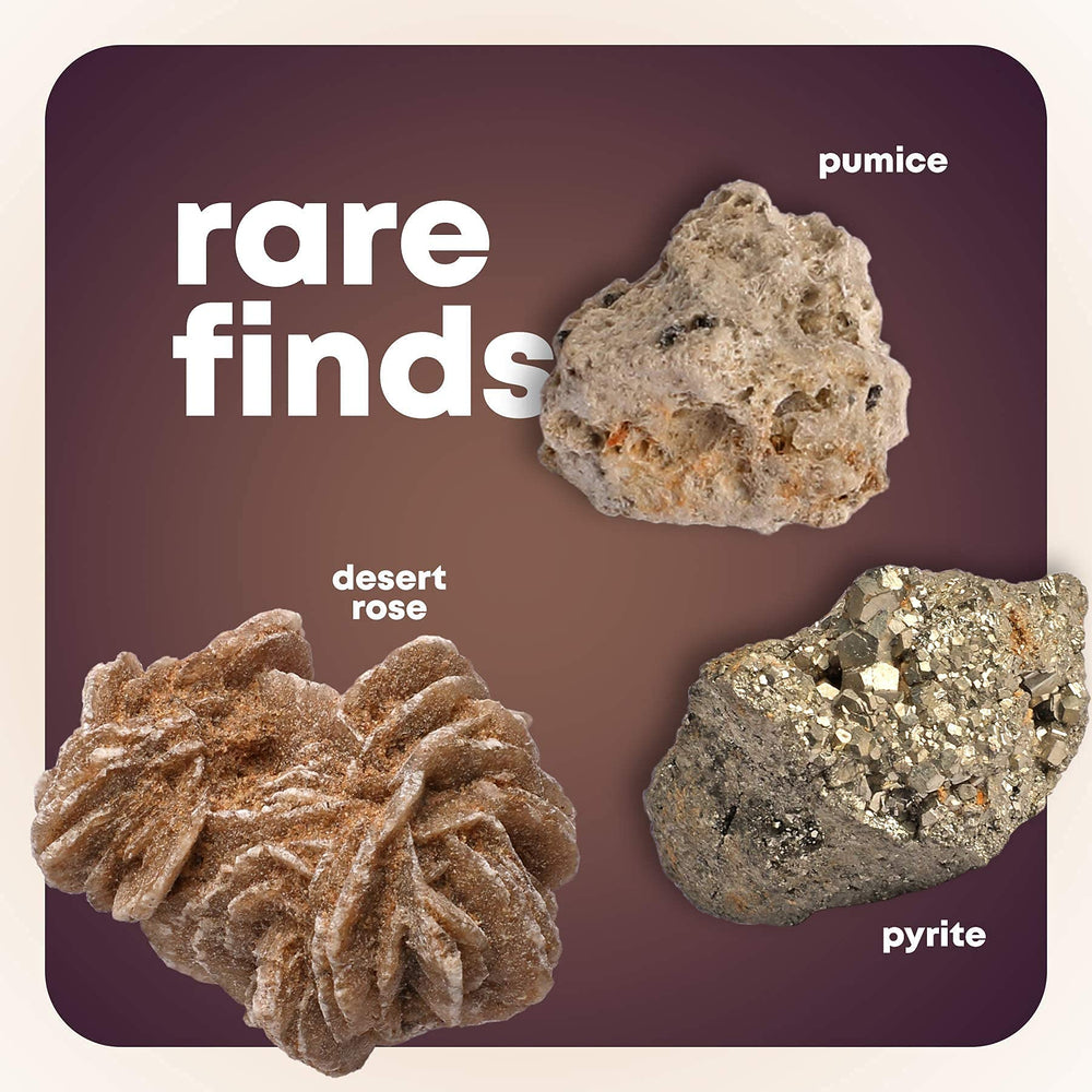 Dan&Darci fossil display case keeps discoveries organized for show-and-tell