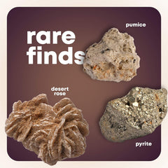 Dan&Darci fossil display case keeps discoveries organized for show-and-tell