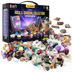 Dan&Darci rock collection for kids bulk: a diverse set for exploration and discovery