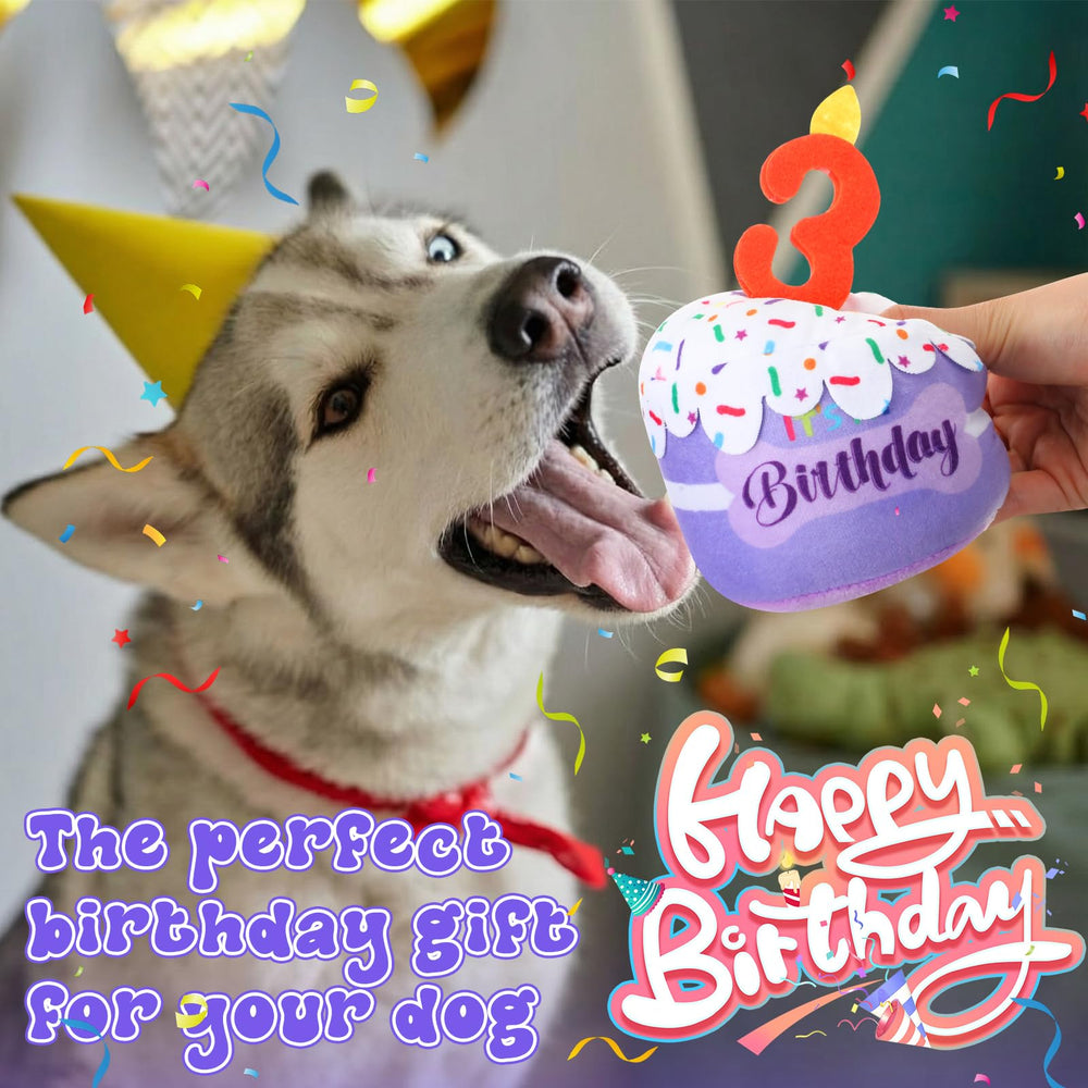 Dansydaisy dog birthday cake plush toy fits all dog sizes.