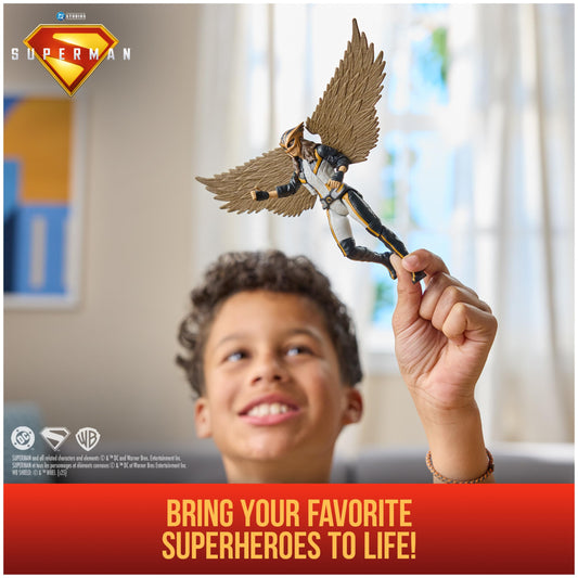 DC Comics Superman Hawkgirl 6-Inch figure articulation close-up for dynamic poses