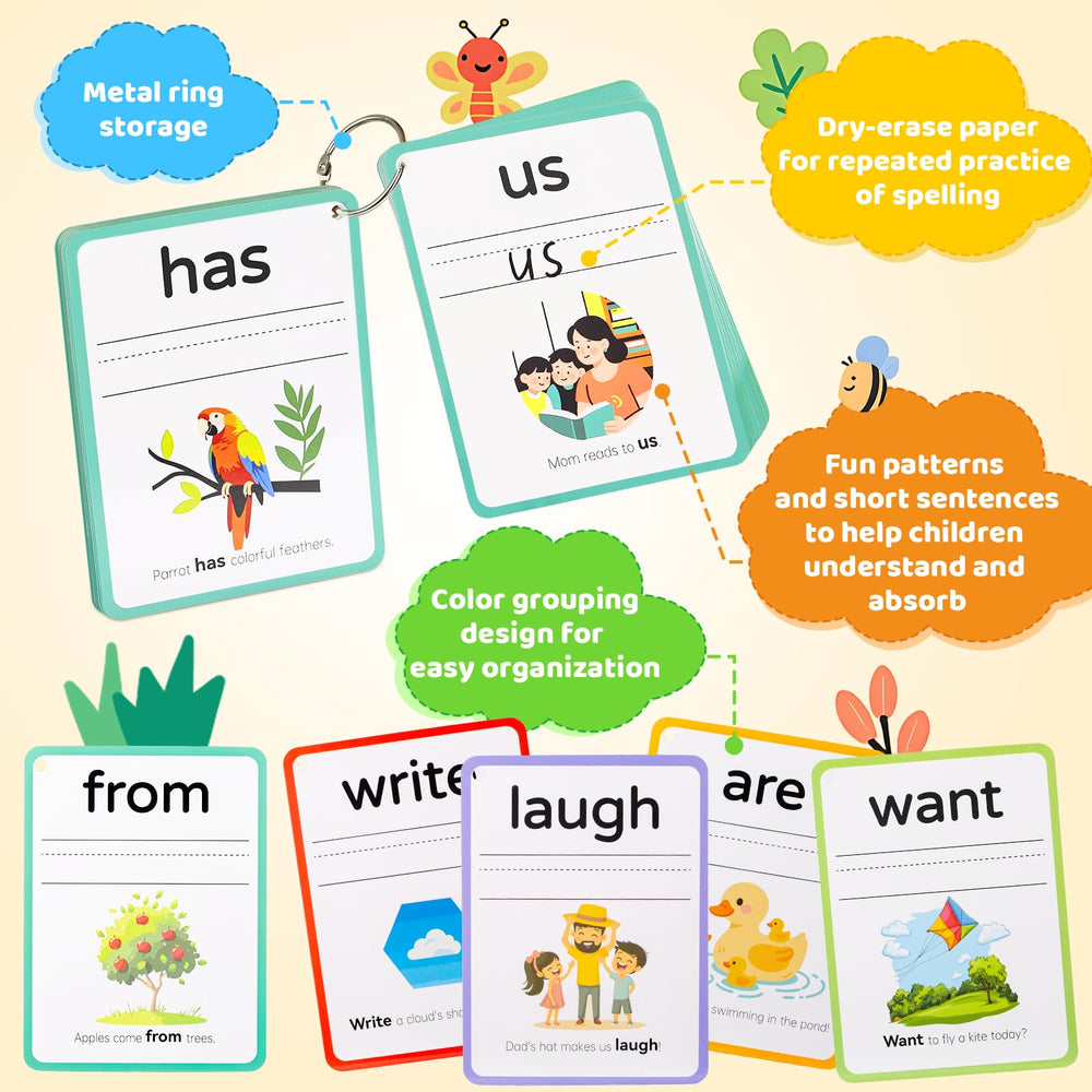 Compact DEGIDEGI set ideal for home, classroom, and travel learning sessions