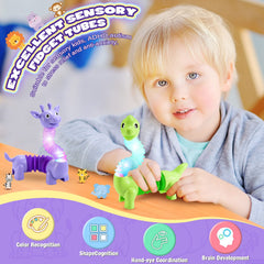 Delighkidz dolphin pop tube for bright visuals and movement